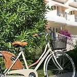 Il Negresco